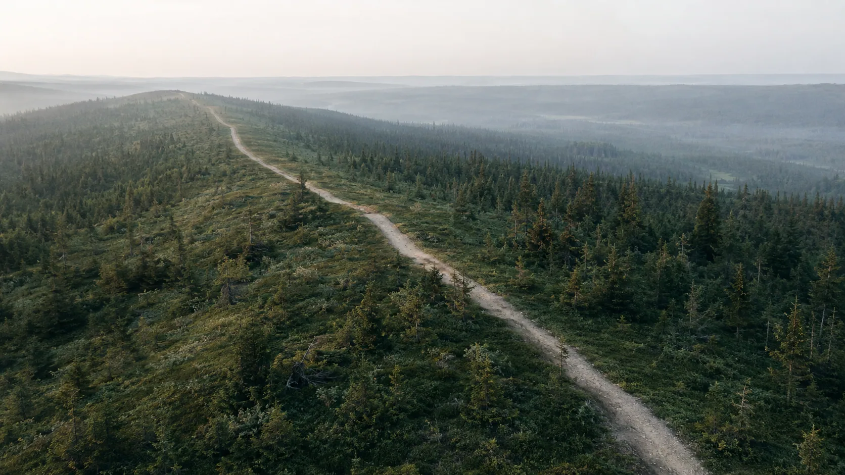 Sentier de randonnée traversant une forêt boréale vers l'horizon